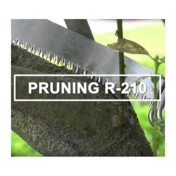 Пилки сабельные Pruning R-210 ZETSAW