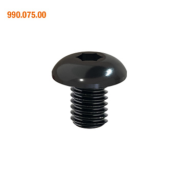 Винт TORX M4x6 Torx 15 CMT артикул 990.075.00