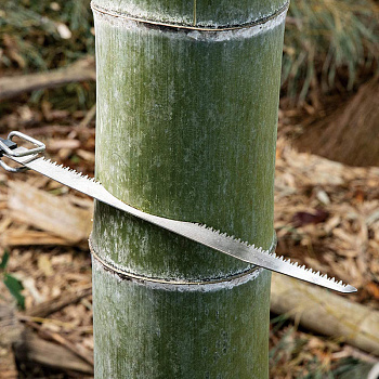 Пилки сабельные Bamboo Harvesting R-300 Z-SAW